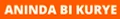 Aninda Bi KURYE logo