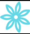 Anise skincare