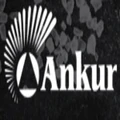 ANKUR CHEMFOOD