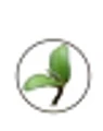 Annapolis Seeds logo