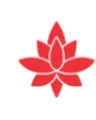 Anomishere Design
