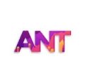 Ant Digital logo