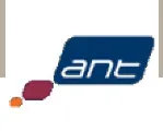ANT Software logo