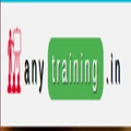 Any Training logo