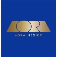 Aora Makeup logo