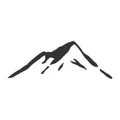 Apex Settlement Group logo