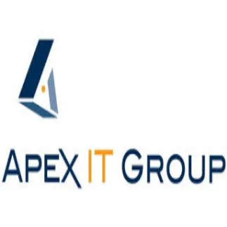 Apex IT Group logo