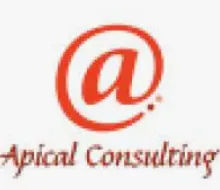 Apical Consulting