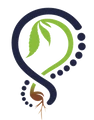 Apotho Therapeutics logo