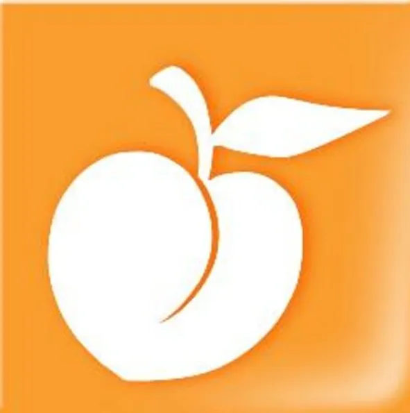 Apricot Designs logo