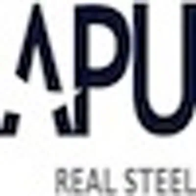 APU Solutions logo