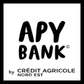 APY BANK logo