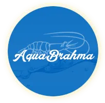 AquaBrahma