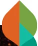Araku logo