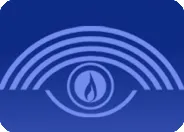 Aravind eye care system
