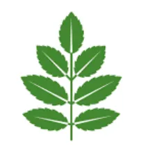Aria Global Ventures