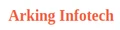Arking Infotech