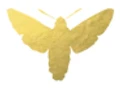 Arna Falco logo