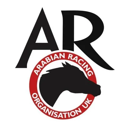 ARO Racing logo