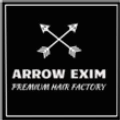 Arrow Exim logo
