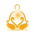 Art Of Living logo