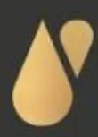 ArteOlio logo