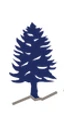 Arve Asset Management logo