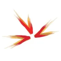 AscentHR logo