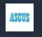 Ascus Cricket
