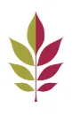 Ash-Ridge logo