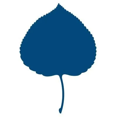The Aspen Institute logo