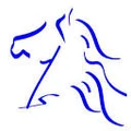 Asvam Infotech