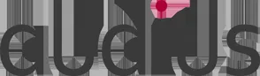 audius logo
