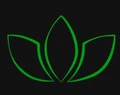 Aurasleep logo