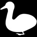 Automatic Duck logo