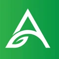 avada themes