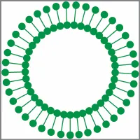 Avanti Polar Lipids logo