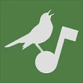 Aves Vox logo