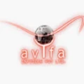 Avifa Infotech