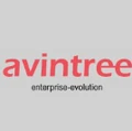 AVINTREE SOFTWARE SOLUTIONS