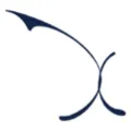 Axon Partners Group logo