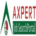 Axpert Jobs logo
