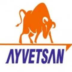 Ayvetsan logo