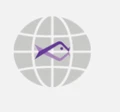 Babelfish Analytics