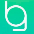 BAGGID