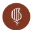 Bagh India logo