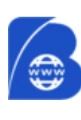 Balli Digital Solutions logo