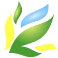 Balsam Developers