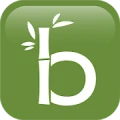 Bamboo System Technology logo
