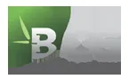 Bamboo Capital Group logo